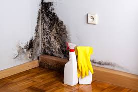 Mold Remediation for Vacation Homes in Holyoke, MA